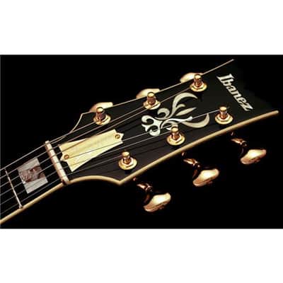 Ibanez John Scofield Signature JSM100 Hollow-Body Electric Guitar, Bound Ebony Fretboard, Vintage Sunburst image 6