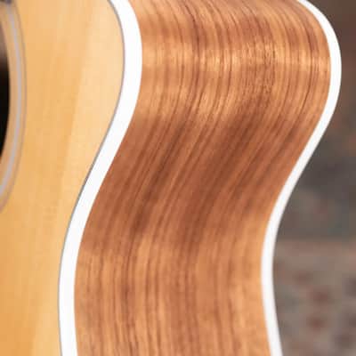Taylor 214ce-N Nylon Grand Auditorium Acoustic/Electric Guitar with Gig Bag image 11