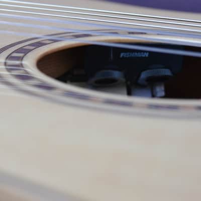 Bedell Performance Series OHN-18E-G Ac/El Nylon Parlor Guitar-GigBag- Rare Model image 7