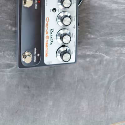 PastFx Chorus Ensemble Deluxe image 2