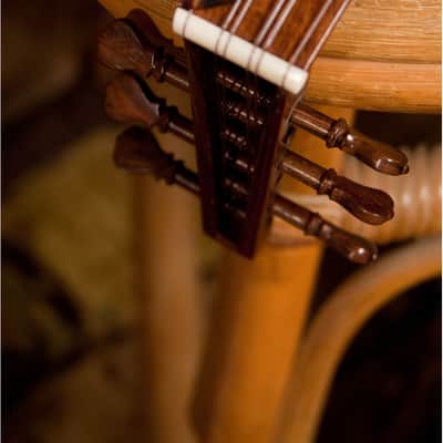 Roosebeck ULTVL | Tenor Lute-kulele Variegated. New with Full Warranty! image 10