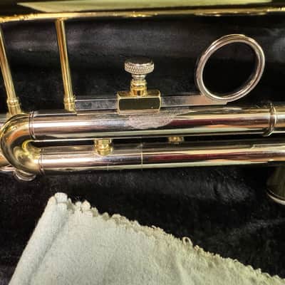 Accent Trumpet 2016 - Lacquer image 6