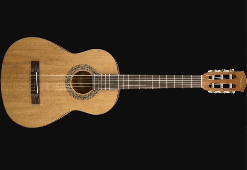FA-15N 3/4 Nylon w/ Gig Bag image 1