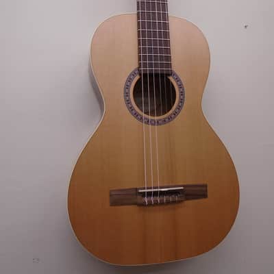 Godin Motif nylon string guitar sf image 3