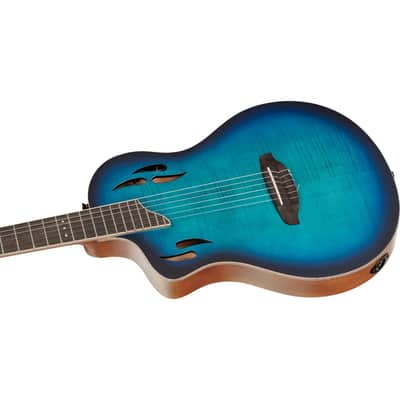 Ortega RTPDLX-FMA-L TourPlayer Series Solid Okoume Body Slim Neck Nylon 6-String Acoustic-Electric Guitar w/Gig Bag For Left Handed Player image 10