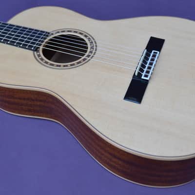 Bedell Performance Series OHN-18E-G Ac/El Nylon Parlor Guitar-GigBag- Rare Model image 2