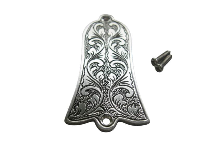 Custom Engraved Top Guitar Truss Rod Cover Plate with Screws image 1