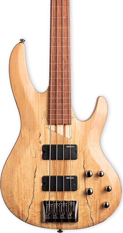 ESP LTD B-204SM Fretless 4-String Bass Guitar, Roasted Jatoba Fingerboard, Natural Satin image 1