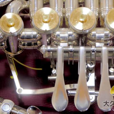 YAMAHA YHR-87DBS 120th Anniversary Full Double Horn image 4