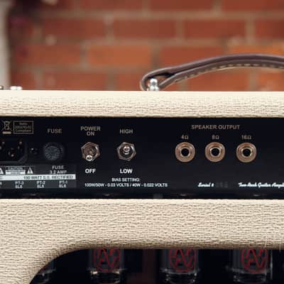 Two Rock TS 1 100 Watt Head and 2x12 Vertical Cabinet - Blonde & Oxblood! image 8
