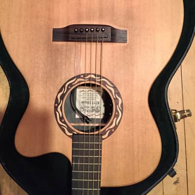 Martin XC1T Ellipse w/Fishman Ellipse Matrix Blend image 2