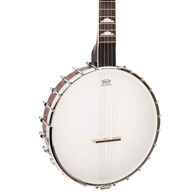 Gold Tone Mastertone™ WL-250/L: Lefty White Ladye Banjo with Case image 12