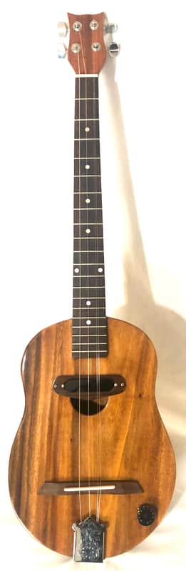 Acoustic/electric dulcimer guitars image 1