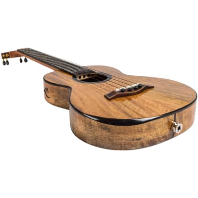 Flight SONGBIRD MANGO EQ-A Royal Series Solid Mango Top Mahogany Neck 4-String Tenor Acoustic-Electric Ukulele w/Gig Bag, Pickup & Humidifier image 15