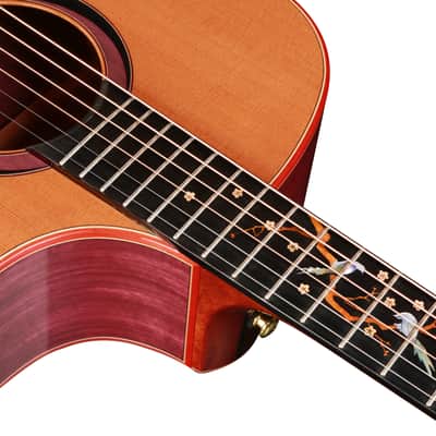 Natasha JC30 (Cedar) - Canadian Cedar and Purpleheart Acoustic Guitar 2023 - Gloss image 5