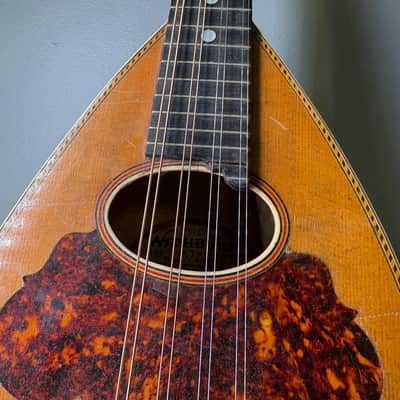 Washburn Bowl-Back Mandolin with Original Case, 1890s image 9