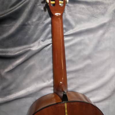 Epiphone Classical Acoustic Guitar, Model C40, Nylon Strings 1990s - Natural image 10
