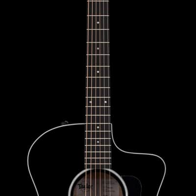 Taylor 214ce-BLK Plus #65544 (Demonstration Model) image 5