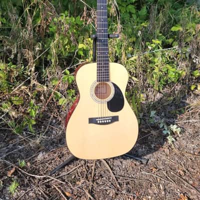 Jay Turser JJ43 3/4 sized dreadnought acoustic guitar with soft case image 2