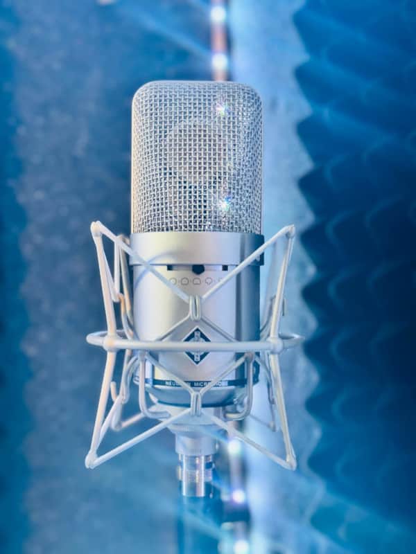 Neumann M 149 Large Diaphragm Multipattern Tube Condenser Microphone image 1