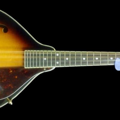 "THE GRIP" GENUESE MANDOLIN PICKUP with FLEXIBLE MICRO-GOOSE NECK by Myers Pickups image 2