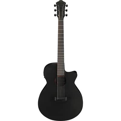 Ibanez AEL20E-TKS 6-String Acoustic-Electric Guitar | Reverb