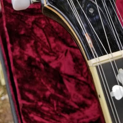 Gold Tone 10 string  resonator banjo image 10