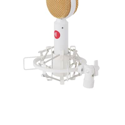 DS-65 Large Diaphragm Condenser Microphone White image 1