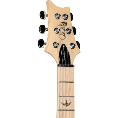 PRS Paul Reed Smith SE Swamp Ash Special Electric Guitar, Iris Blue image 4