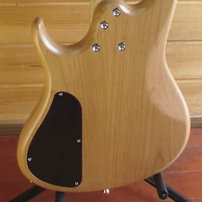 Sago NMG Radill Fretless Bass "Tozoku" Japan Expo 2014 image 7