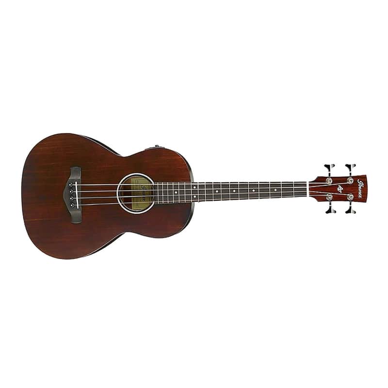 Ibanez Avnb1 Ebv image 1