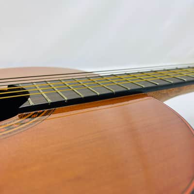 Hernandis Grade No. 1 Vintage 1970 Classical Guitar image 10
