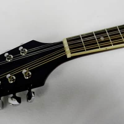 Austin A Style Mandolin image 4