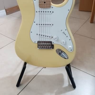 Fender Player Stratocaster - Your Dream Strat image 1