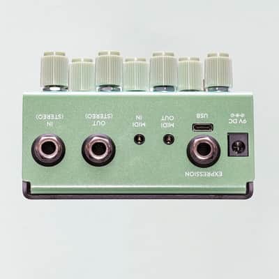 Old Blood Noise Endeavors Bathing Liminal Delay - Algae image 3