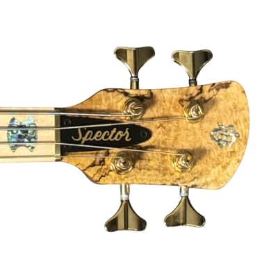 Spector USA NS-2, Chestnut Super Natural (Gloss Finish) / Birdseye Maple / 1.64" Nut 8.9 LBS *On Order, ETA Jan. 2027 image 11