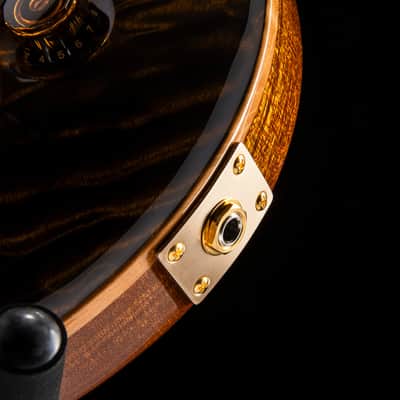 Paul Reed Smith Private Stock Custom 24 Tiger Eye image 12