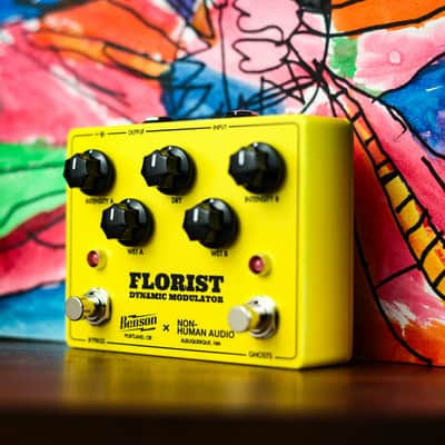 Benson Amps / Non-Human Audio Florist Dynamic Modulator image 11