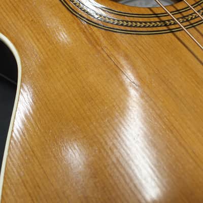 Vintage Gibson L3 Standard w/ Spruce & Birch Pre-Owned 1907 image 14