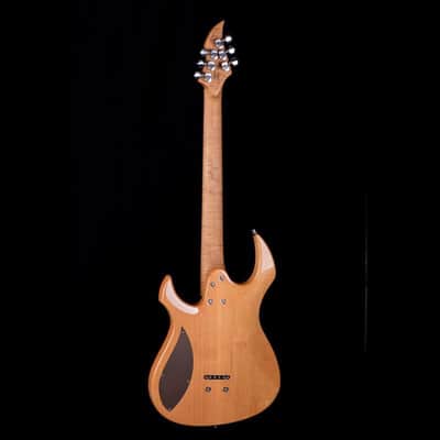 GNG Guitars by Giulio Negrini Morgoth - "Bleeding Nile" - Boutique Guitar Showcase Tour Instrument image 3