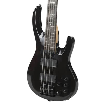 ESP Ltd 5-String Bass Owned by Greg Howe image 5