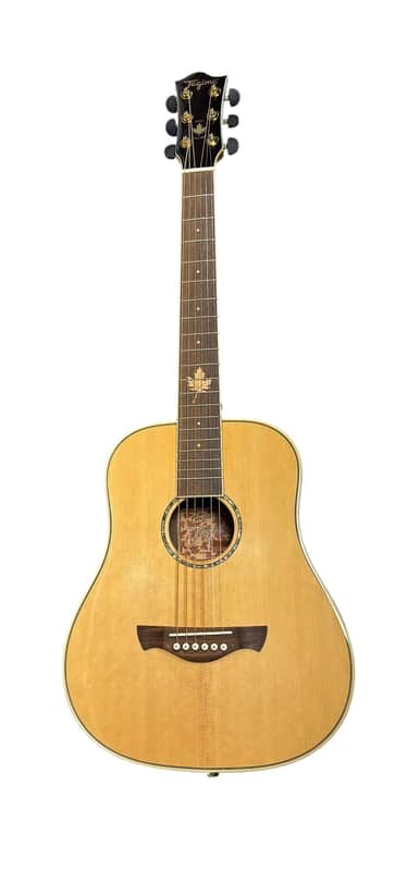 Tagima Guitar - Acoustic Fernie Canada