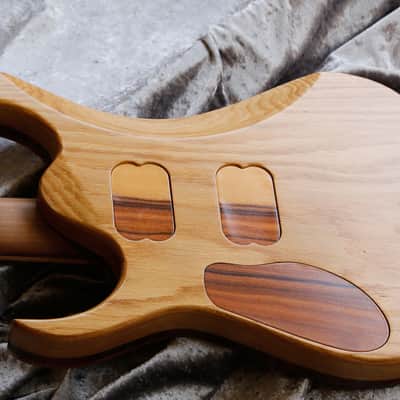 GB Liuteria Boutique guitar Ergal 6 string illuminated resin image 25