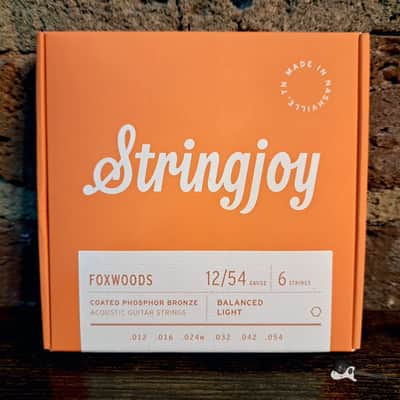 Stringjoy Foxwoods | (12-54) Light Gauge Coated Phosphor Bronze Acoustic Guitar Strings