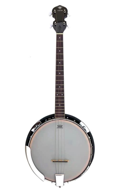 Danville 4 String Tenor Banjo BJ-004 Free Shipping Bild 1