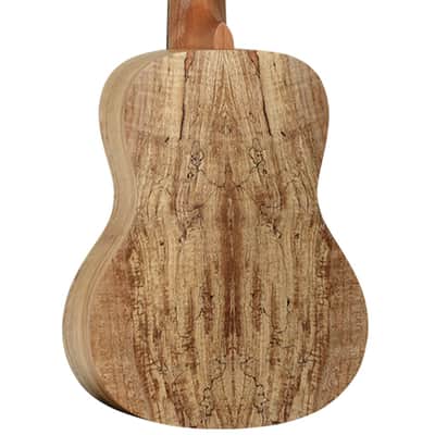 Immagine Tanglewood TWT 10 Concert Ukulele, Natural Satin W/Gig Bag - 3