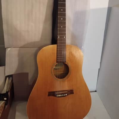 Seagull Entourage Dreadnought 2018 - Autumn Burst image 1