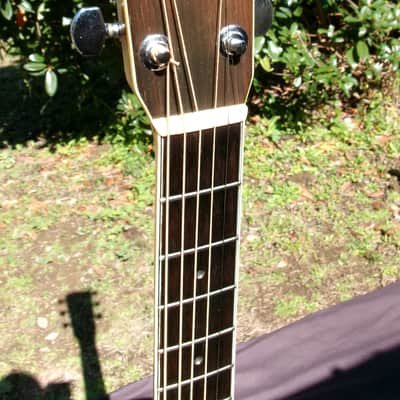 1973 Yamaki G-30, Gallagher Doc Watson style guitar image 5