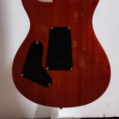 PRS Custom 24 - Natural Burst image 18