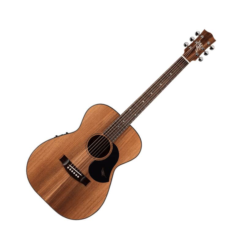 Maton EBW808 All Blackwood AP5-Pro Pickup EQ Preamp Acoustic Guitar image 1